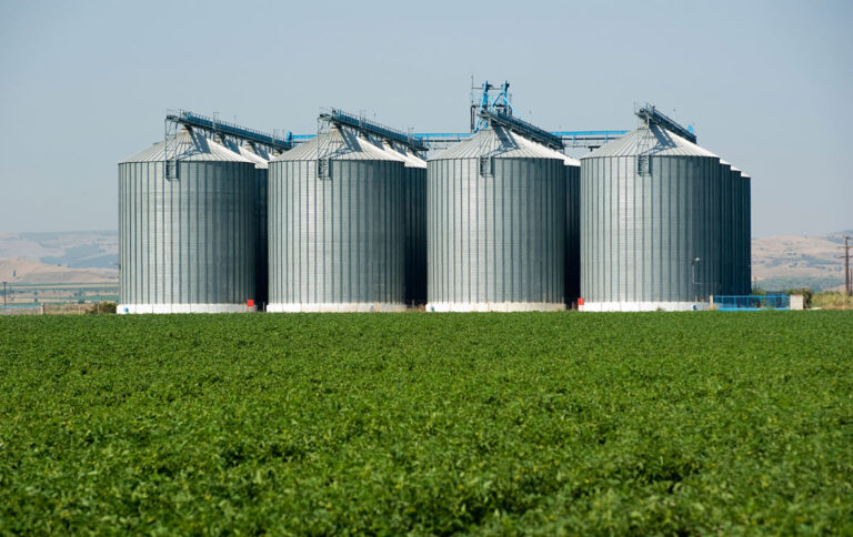 Dal Storage Silos