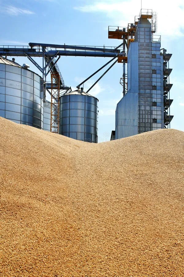 Wheat Grain Storage Tank