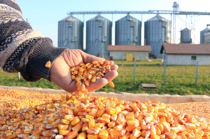 Grain Storage Silo