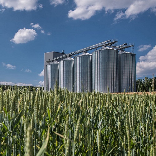 Grain Handling System